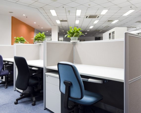 architecture eget vihicula