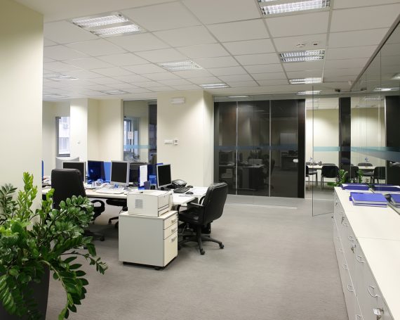 architecture design eget vihicula